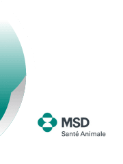 MSD Santé Animale